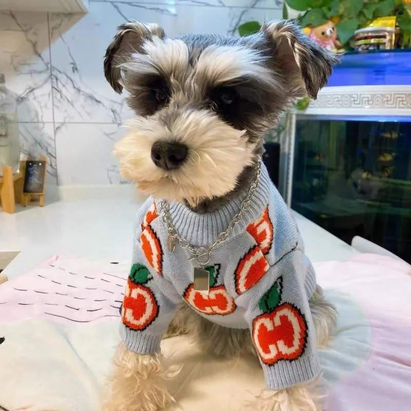 Baju Sweater Anjing Bahan Katu - Winter Clothing Boys ulasan dan harga