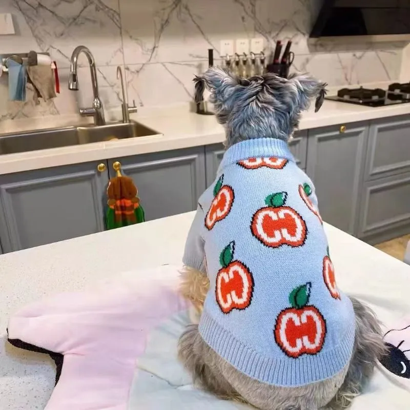 Baju Sweater Anjing Bahan Katu - Winter Clothing Boys ulasan dan harga