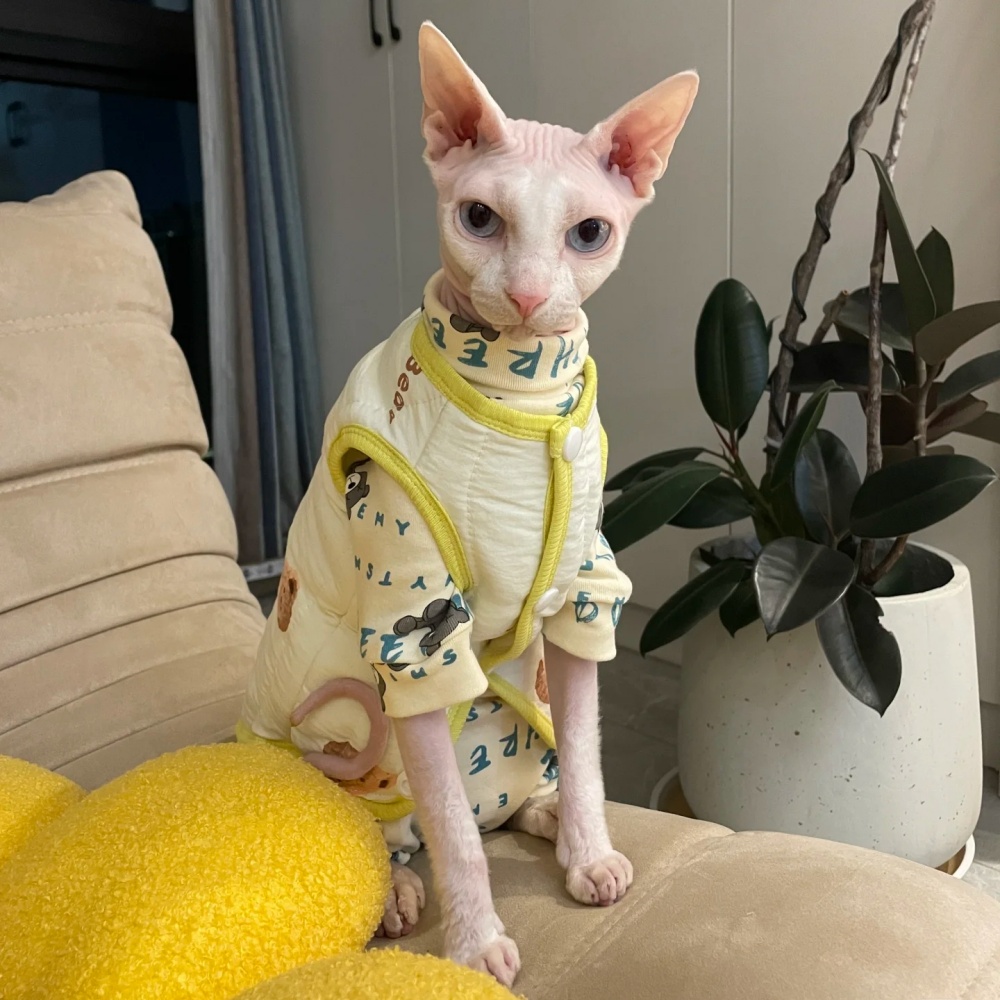 Jaket musim dingin kartun katu - Yellow Winter Clothing ulasan dan harga
